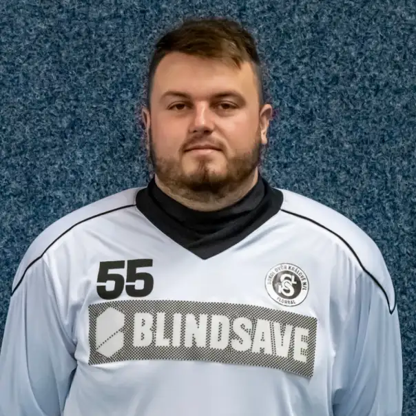David Stibor