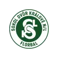 TJ Sokol Dvůr Králové n/L