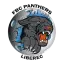 Panthers Liberec