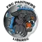 FBC Panthers Liberec