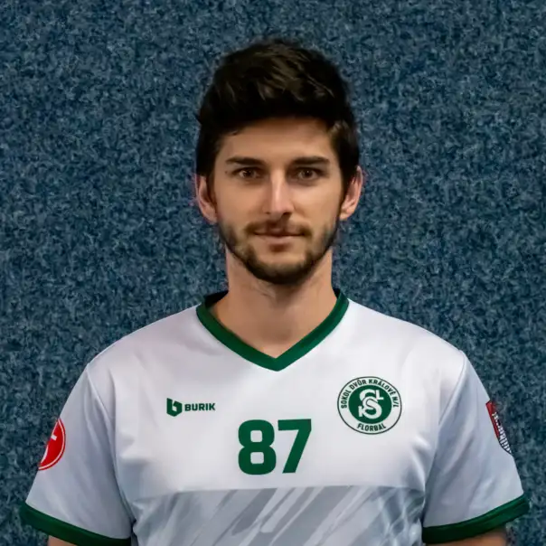 Aleš Weigl