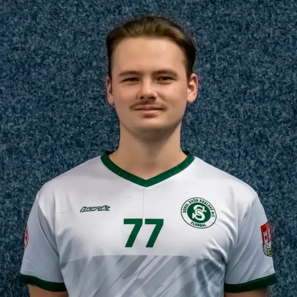 Michael Havran